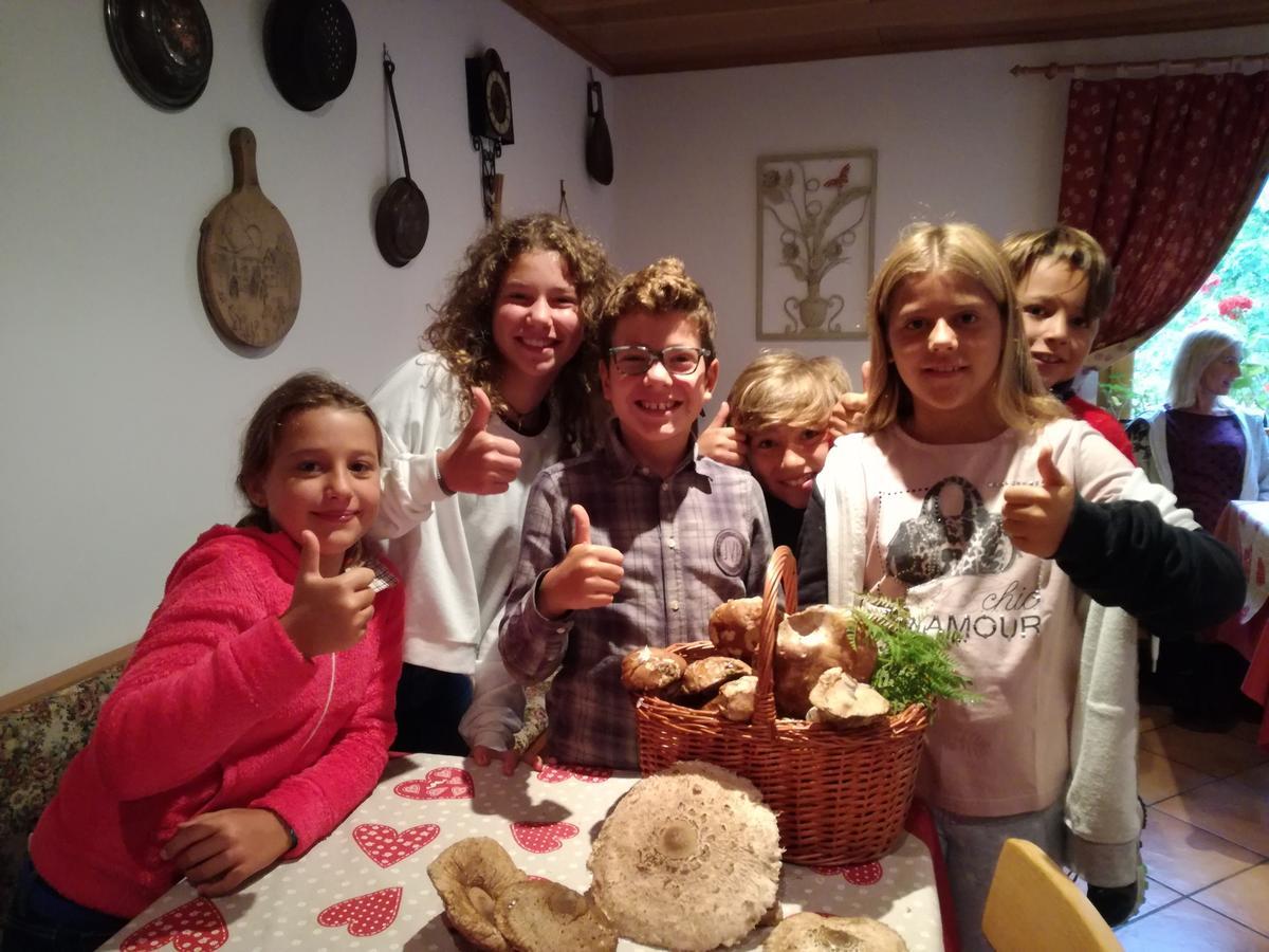 Garni Biancaneve Ruffre-Mendola Room photo